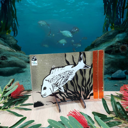 Snapper, Kina and Kelp - Medium Rectangle 300x200mm w/stand - Fiery Creations Ltd