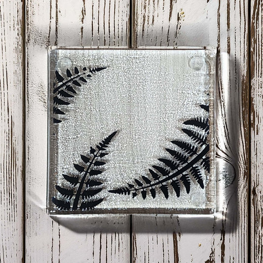 NZ Made Glass Coaster Ferns - Single in display box - Fiery Creations Ltd