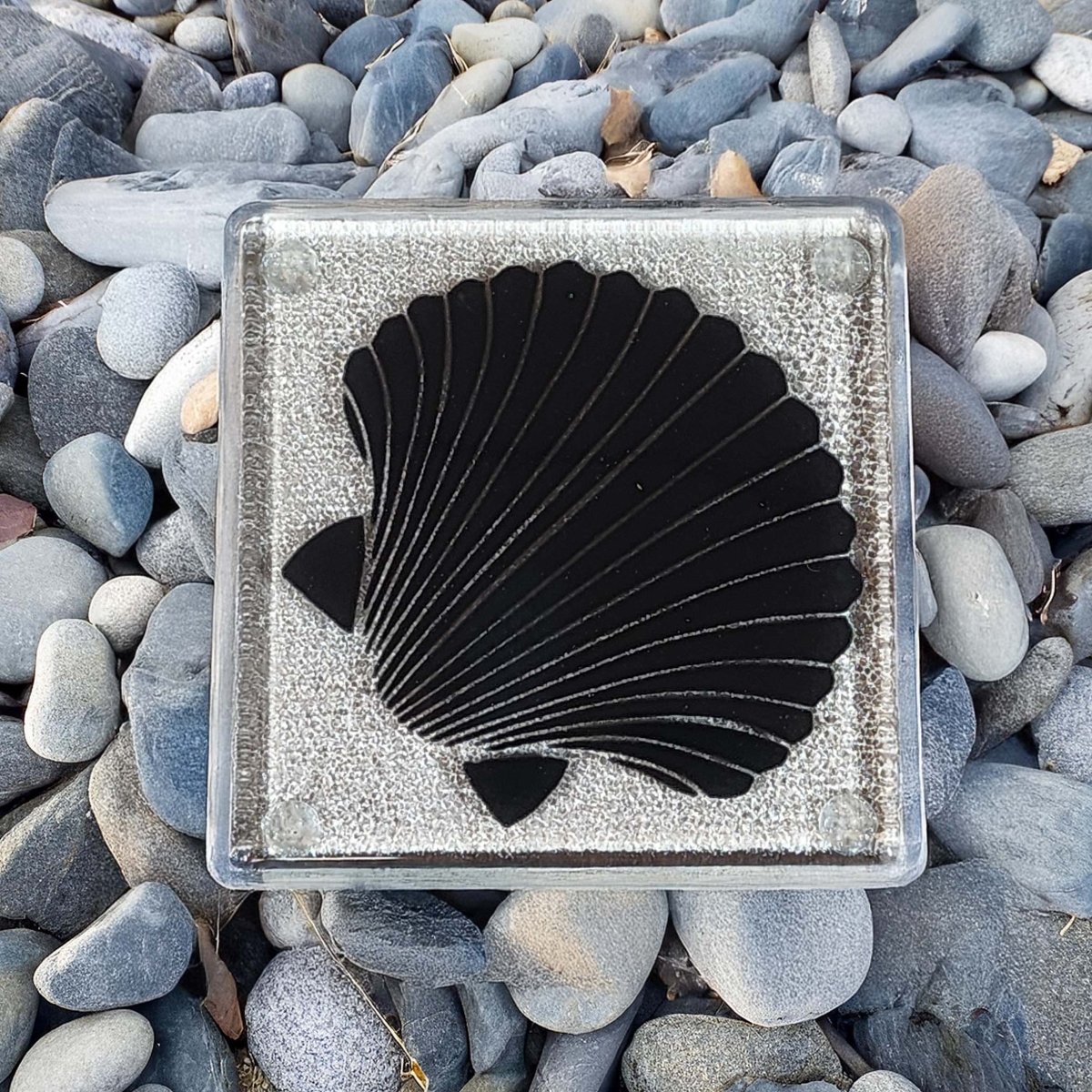 NZ Made Glass Coaster Scallop - Black - Single in display box - Fiery Creations Ltd